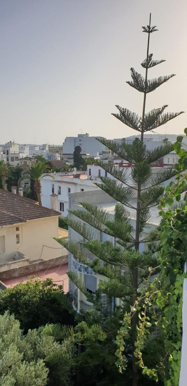 Guesthouse Kasbah Old Medina Tanger Kültér fotó